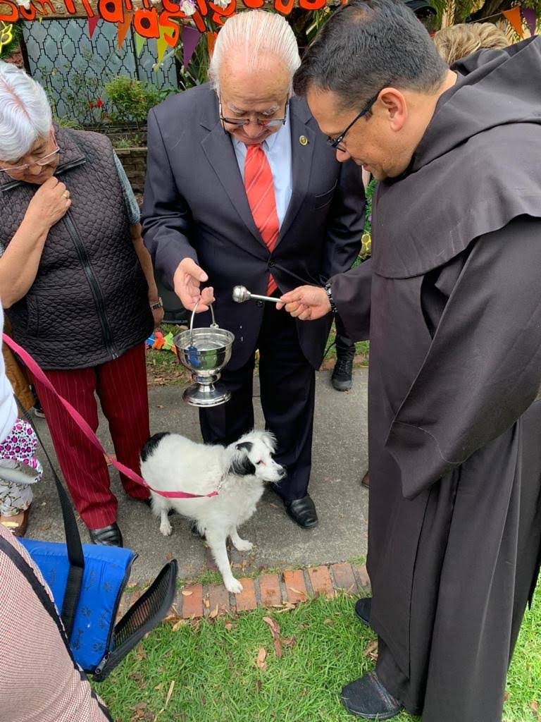 bendición de mascotas 1