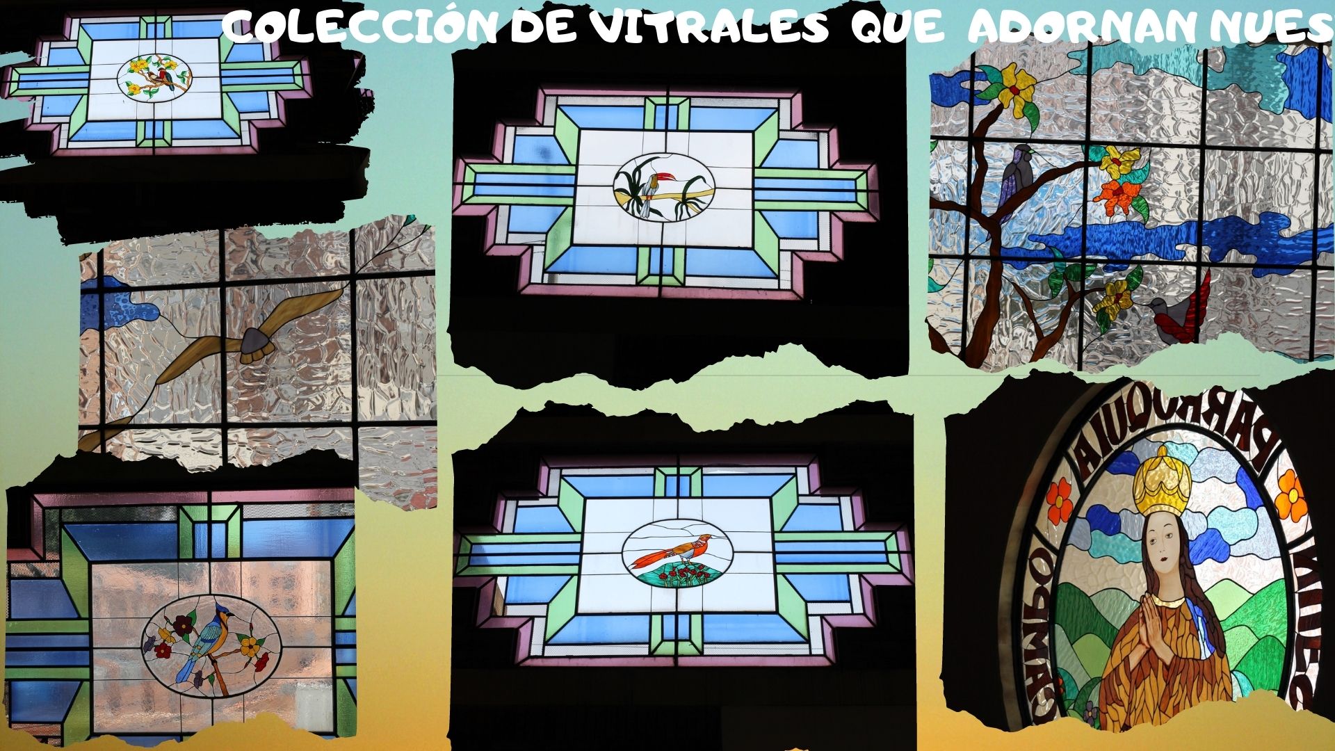 CONOCE NUESTRAS INSTALACIONES