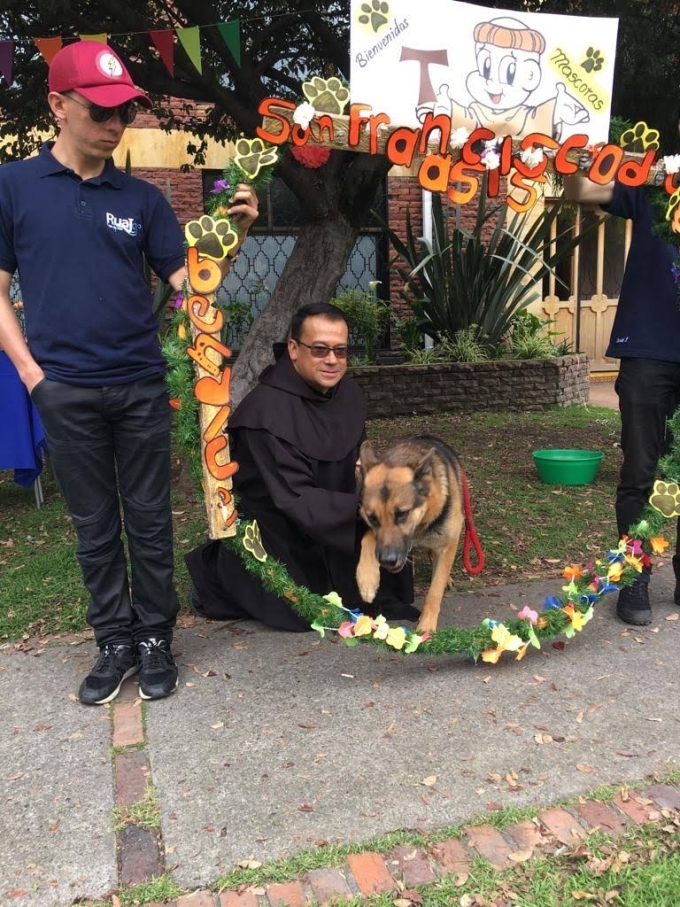 bendición de mascotas